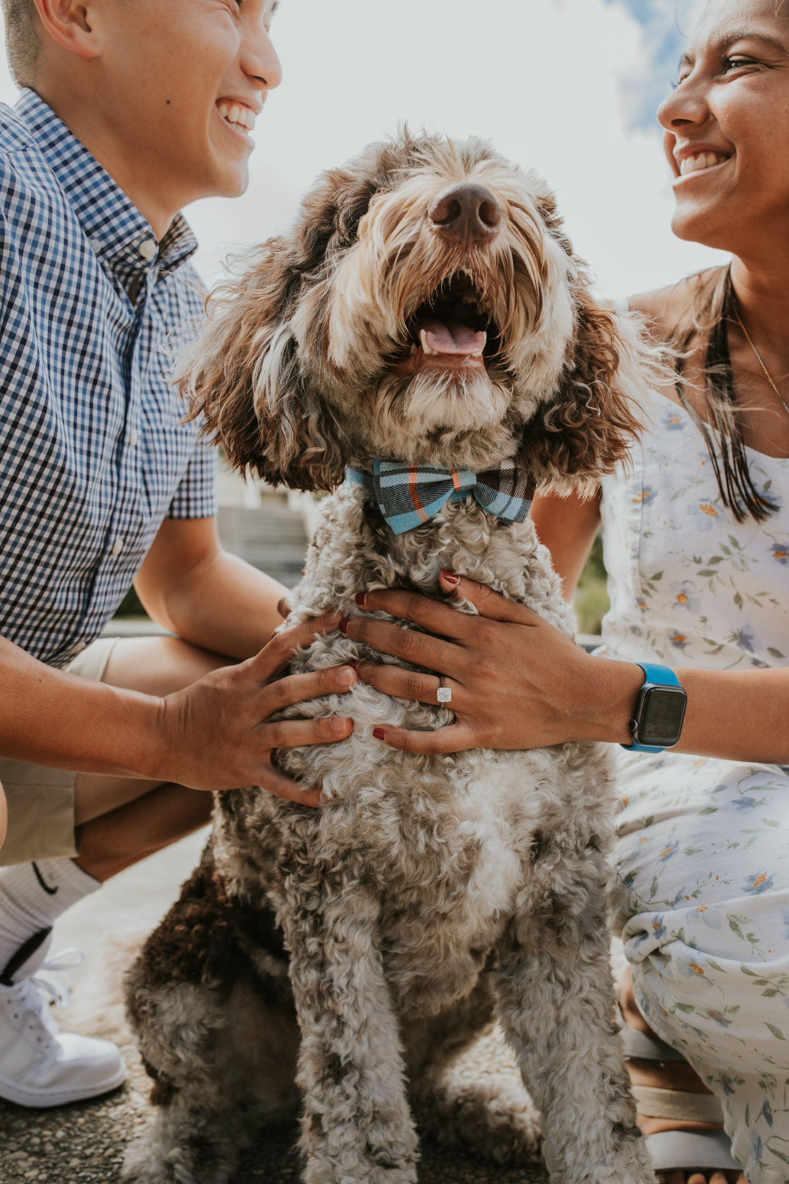 Dog receiving pets from mom and dad